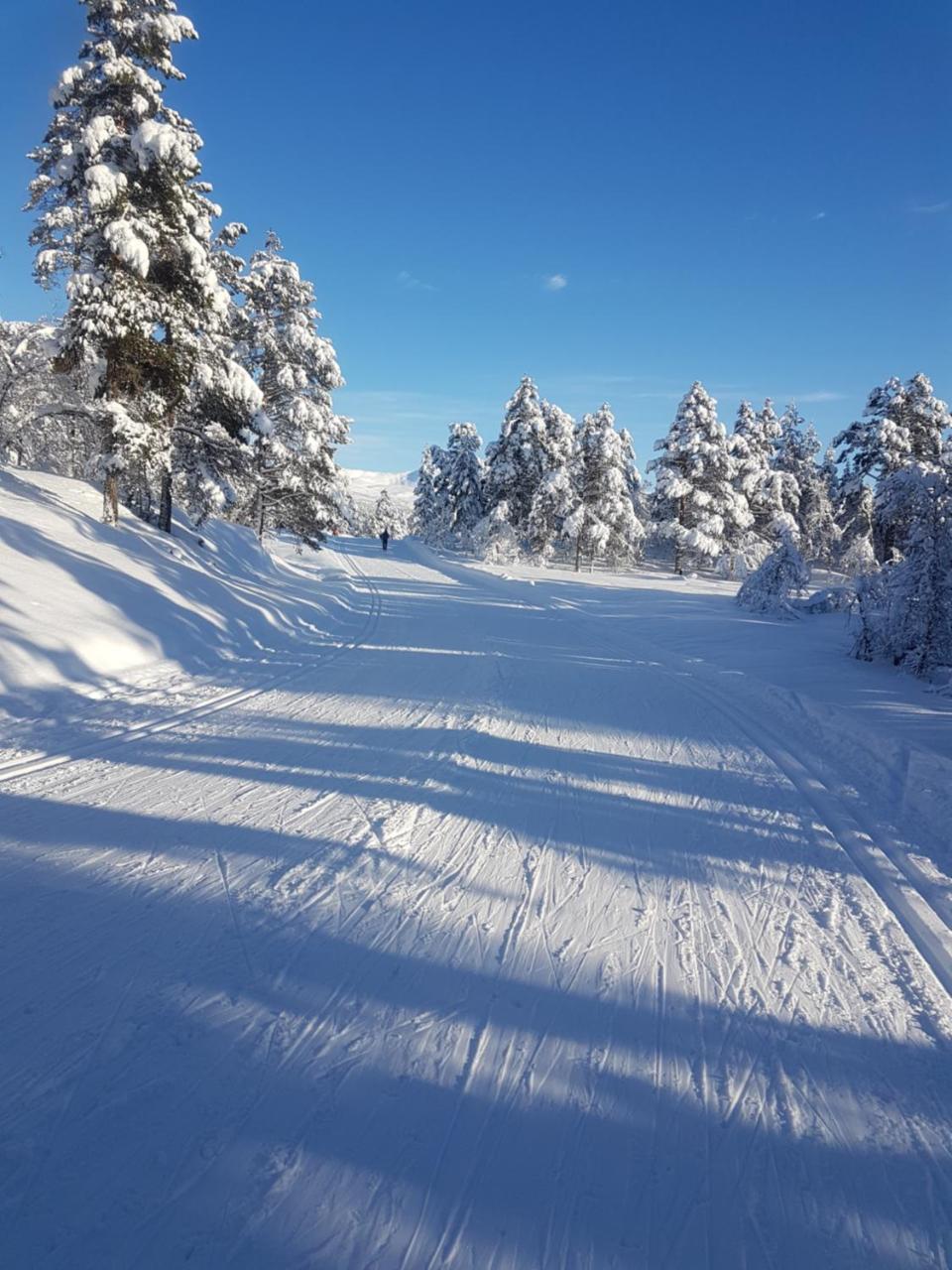 Voss Interlake - Villa Skulestadmo Екстериор снимка